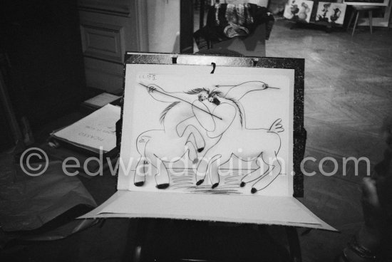 La Californie, Cannes 1959. - Photo by Edward Quinn