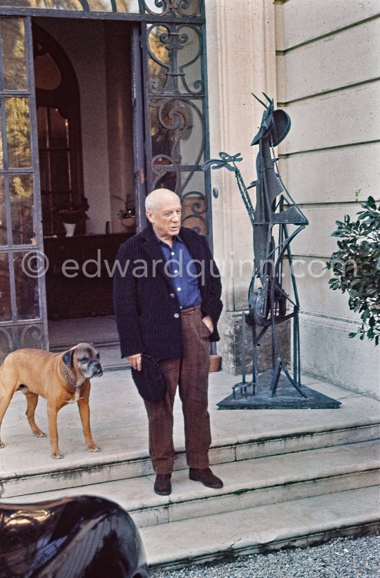 Pablo Picasso and boxer dog Jan. La Californie, Cannes 1959. - Photo by Edward Quinn