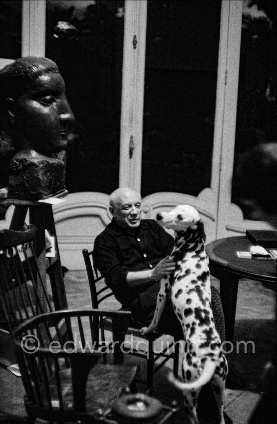 Picasso and his Dalmatian dog Perro. La Californie 1959 - Photo by Edward Quinn