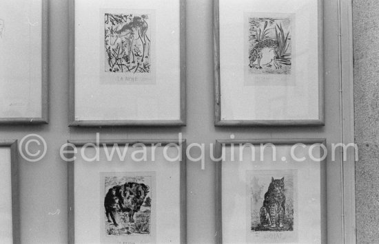 Exhibition "Pablo Picasso. Oeuvre gravé. Galerie des Ponchettes, Nice, 1.1960-3.1960." - Photo by Edward Quinn