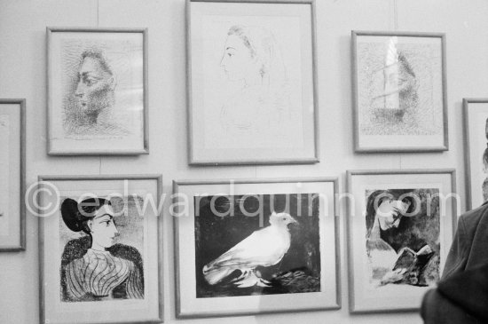 Exhibition "Pablo Picasso. Oeuvre gravé. Galerie des Ponchettes, Nice, Jan-Mar 1960." - Photo by Edward Quinn