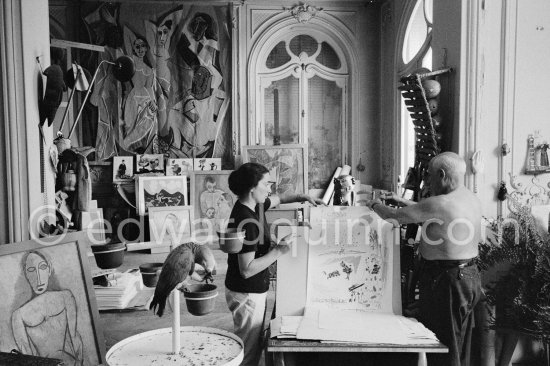 Pablo Picasso and Jacqueline showing the original lithograph for the poster announcing his 1960. show in Nice. With Pablo Picasso's parrot. La Californie, Cannes 1960. - Photo by Edward Quinn