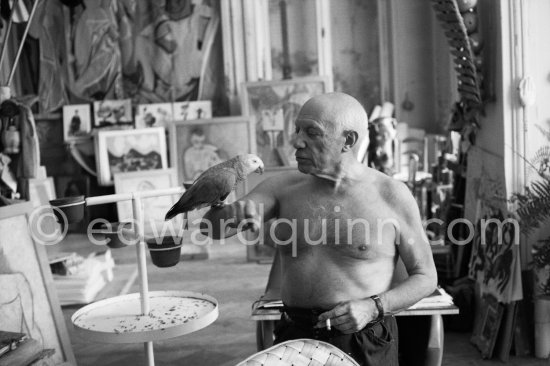 Pablo Picasso with his parrot. La Californie, Cannes 1960. - Photo by Edward Quinn