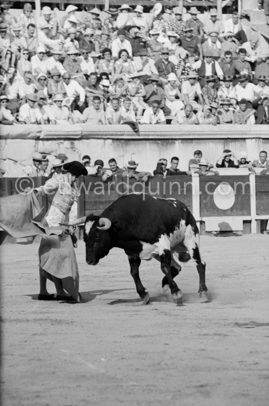 Paco Camino, Nîmes 1960. Other photos of this bullfight in the bull ring see "Miscellaneous". - Photo by Edward Quinn