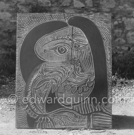 A Pablo Picasso linoblock in the garden of linoprinter Arnéra. Vallauris 1960. - Photo by Edward Quinn