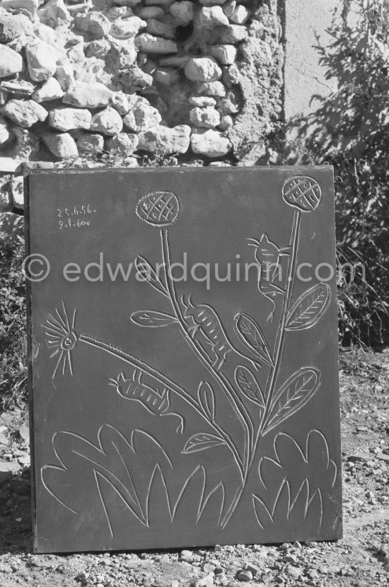 A Pablo Picasso linoblock in the garden of lthe priter Hidalgo Arnéra. Vallauris 1960. - Photo by Edward Quinn