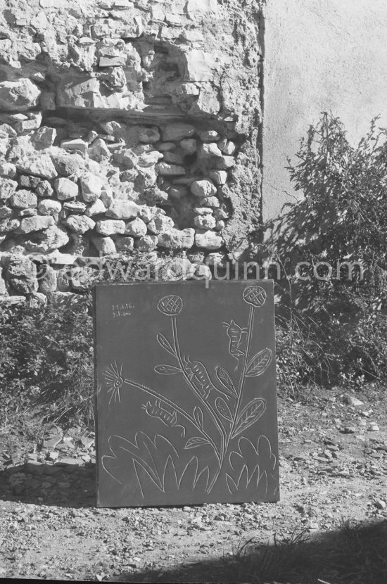 A Pablo Picasso linoblock in the garden of the printer Hidalgo Arnéra. Vallauris 1960. - Photo by Edward Quinn