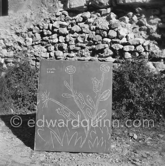A Pablo Picasso linoblock in the garden of the printer Hidalgo Arnéra. Vallauris 1960. - Photo by Edward Quinn