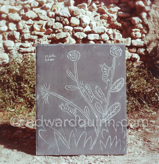 A Pablo Picasso linoblock in the garden of the printer Hidalgo Arnéra. Vallauris 1960. - Photo by Edward Quinn