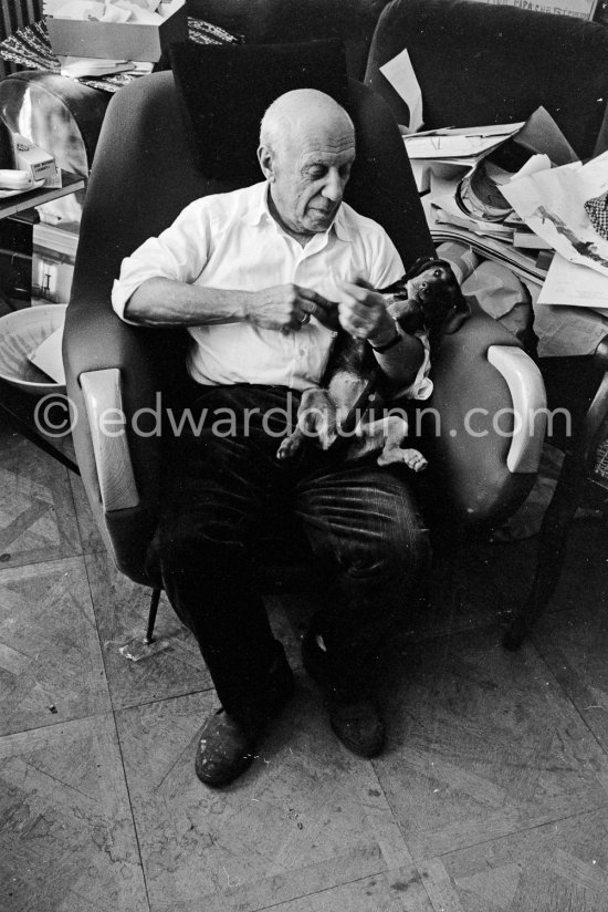 Picasso with dachshund Ma Jolie. La Californie, Cannes 1961. - Photo by Edward Quinn
