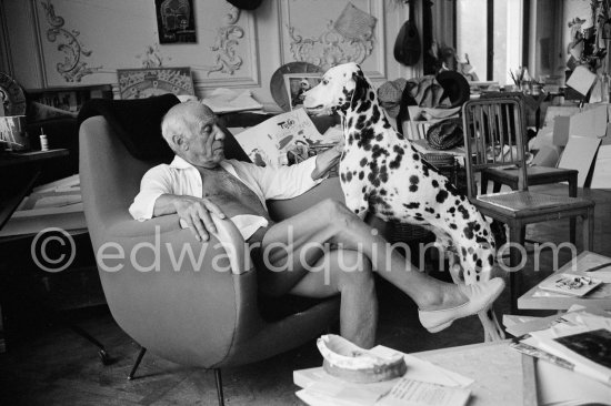 Pablo Picasso with his Dalmatian Perro. La Californie, Cannes 1961. - Photo by Edward Quinn