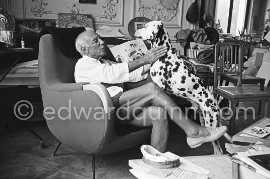 Pablo Picasso with his Dalmatian Perro. La Californie, Cannes 1961. - Photo by Edward Quinn