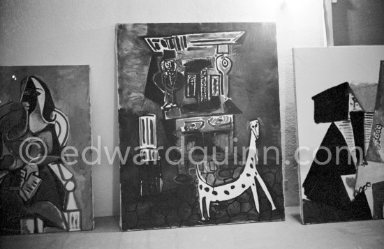 Perro. Mougins Notre-Dame-de-Vie. 1961. - Photo by Edward Quinn