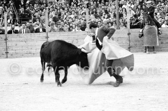 Bullfight put on in Pablo Picasso's honor (80th birthday). Luis Miguel Dominguin. The bullfighters Dominguin and Domingo Ortega killed a bull but this was forbidden in France. Pablo Picasso paid the fine of 5000 Francs. Vallauris 29.10.1961. - Photo by Edward Quinn