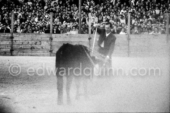 Bullfight put on in Pablo Picasso\'s honor (80th birthday). Luis Miguel Dominguin. The bullfighters Dominguin and Domingo Ortega killed a bull but this was forbidden in France. Pablo Picasso paid the fine of 5000 Francs. Vallauris 29.10.1961. - Photo by Edward Quinn