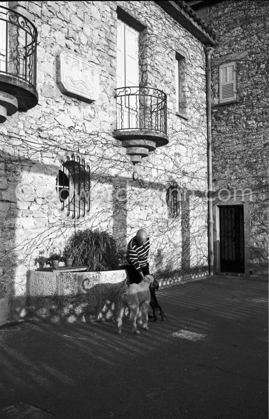 Pablo Picasso and his dogs Kaboul and Lump on the terrace in front of the entrance to Mas Notre-Dame-de-Vie, Mougins 1962. - Photo by Edward Quinn