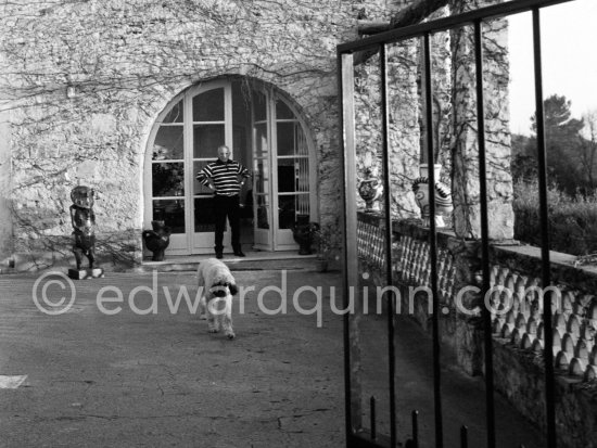 Picasso with Afghan dog Kaboul on the terrace at the entrance to Mas Notre-Dame-de-Vie, Mougins, 14 Feb 1962. - Photo by Edward Quinn