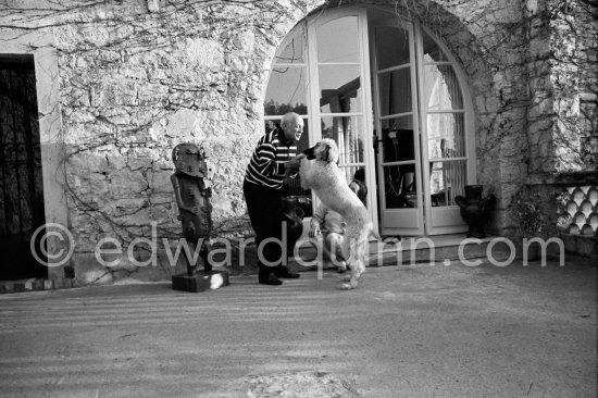 Pablo Picasso and Jacqueline with Afghan dog Kaboul on the terrace in front of the entrance to Mas Notre-Dame-de-Vie, Mougins 14.2.1962. - Photo by Edward Quinn