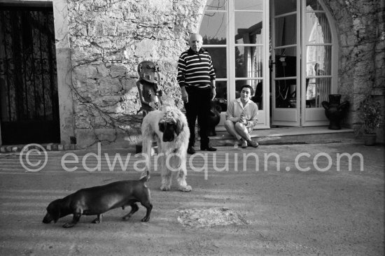 Pablo Picasso and Jacqueline with Afghan dog Kaboul and dachshund Lump on the terrace in front of the entrance to Mas Notre-Dame-de-Vie, Mougins 14.2.1962. - Photo by Edward Quinn