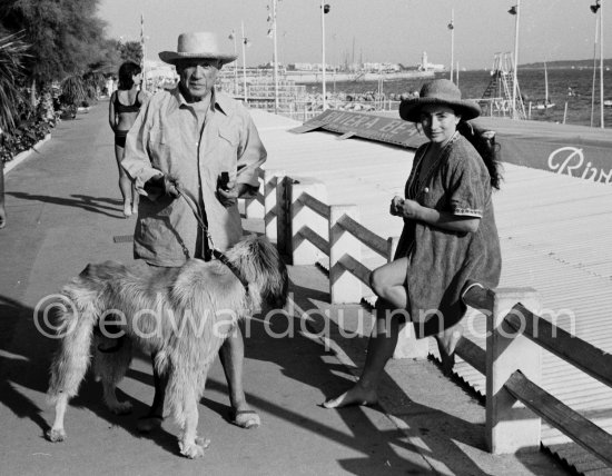 Pablo Picasso and Jacqueline with Afghan dog Kaboul. Croisette de Cannes 1963. - Photo by Edward Quinn