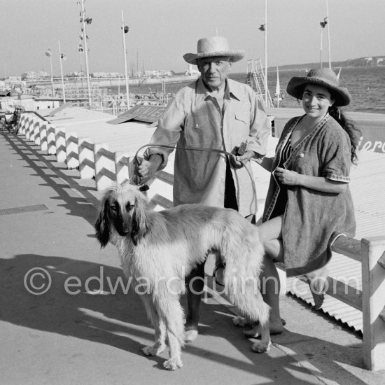 Picasso and Jacqueline with Afghan dog Kaboul. Croisette de Cannes 1963. - Photo by Edward Quinn