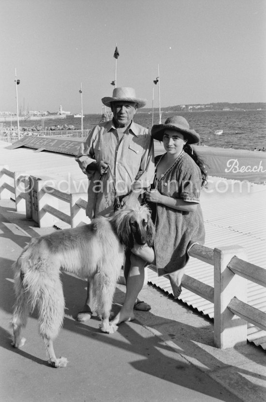 Pablo Picasso and Jacqueline with Afghan dog Kaboul. Croisette de Cannes 1963. - Photo by Edward Quinn