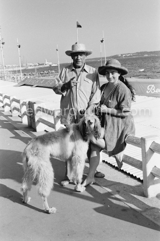 Picasso and Jacqueline with Afghan dog Kaboul. Cannes 1963. - Photo by Edward Quinn