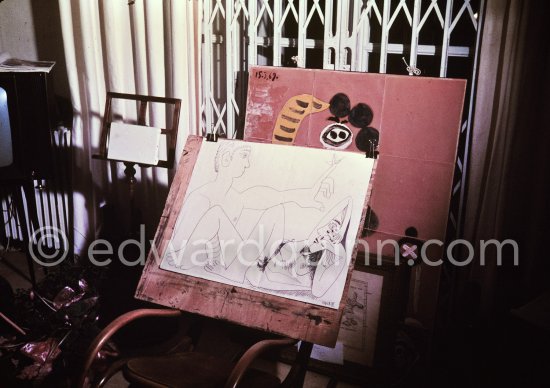 Mas Notre-Dame-de-Vie, Mougins 1969. - Photo by Edward Quinn