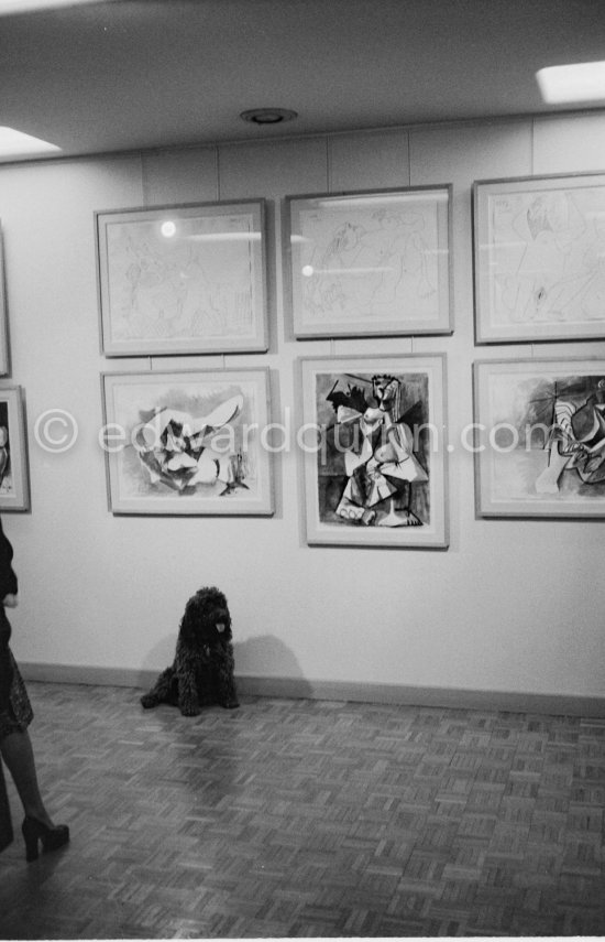 Exhibition "Pablo Picasso: 172 dessins en noir et blanc et en couleurs. 21.11.71-18.8.72" Galerie Louise Leiris, Paris 1.12.1972 - 13.1.1973. - Photo by Edward Quinn