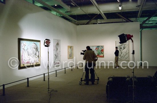 Exposition "Le dernier Pablo Picasso". 1953-1973. Centre Pompidou, Paris 1988. - Photo by Edward Quinn