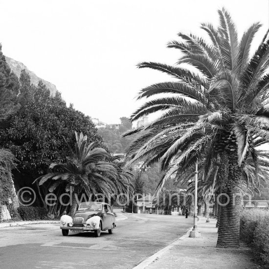 N° 184 Allard / Allard on Allard K2 Sport. Rallye Monte Carlo 1953. To prevent the competitors from taking the timekeepers by surprise and passing without being spotted the organisers decided to paint the front wings of the cars white with washable paint. This enabled the officials to identify them a long way off even if their rally plates were not easily visible because of dirt or their position on the car. (Louche p. 118) - Photo by Edward Quinn