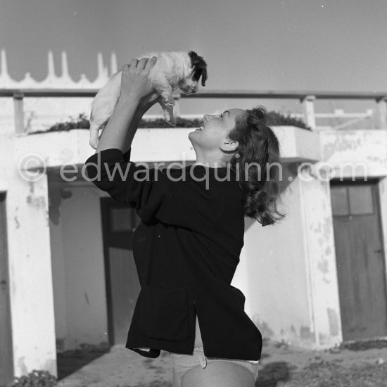 Claude Renault, Miss France 1950, and her shy puppy. Antibes 1951. - Photo by Edward Quinn