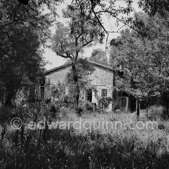 The old farmhouse of the estate of Auguste Renoir.
Cagnes-sur-Mer 1962 - Photo by Edward Quinn