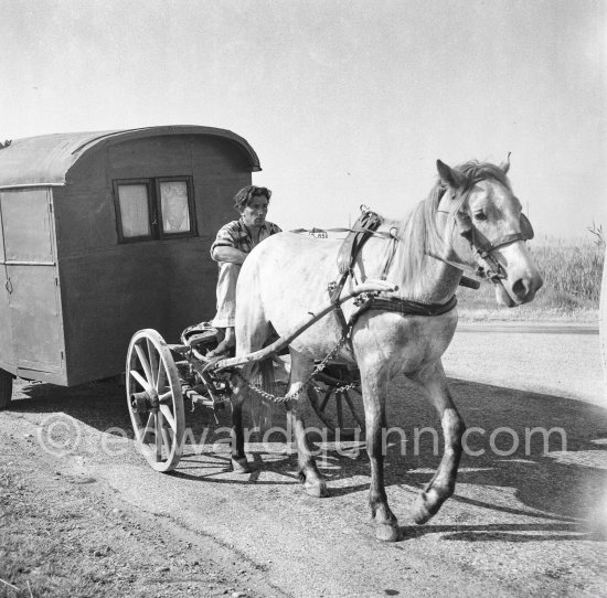 Gypsies on the occasion of the yearly pilgrimage and festival of the Gypsies in honor of Saint Sara, Saintes-Maries-de-la-Mer in 1953. - Photo by Edward Quinn