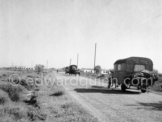 Gypsies on the occasion of the yearly pilgrimage and festival of the Gypsies in honor of Saint Sara, Saintes-Maries-de-la-Mer in 1953. - Photo by Edward Quinn