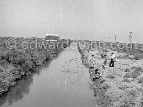 Camargue: Boys fishing near Saintes-Maries-de-la-Mer in 1953. - Photo by Edward Quinn