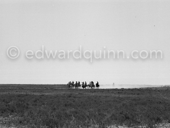 Camargue: Gardians arriving. Saintes-Maries-de-la-Mer in 1953. - Photo by Edward Quinn