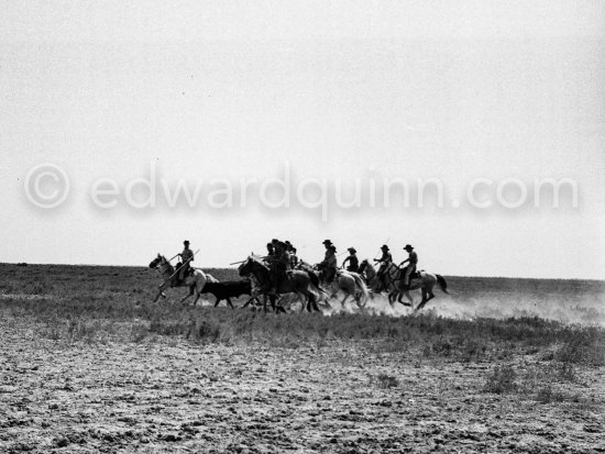 Camargue: Gardians arriving. Saintes-Maries-de-la-Mer in 1953. - Photo by Edward Quinn