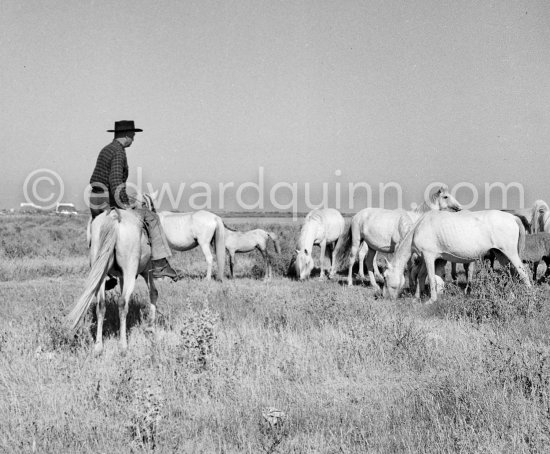 Camargue: Saintes-Maries-de-la-Mer in 1953. - Photo by Edward Quinn