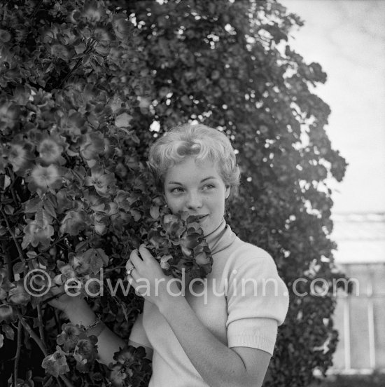 Romy Schneider. Cannes Film Festival 1957. - Photo by Edward Quinn