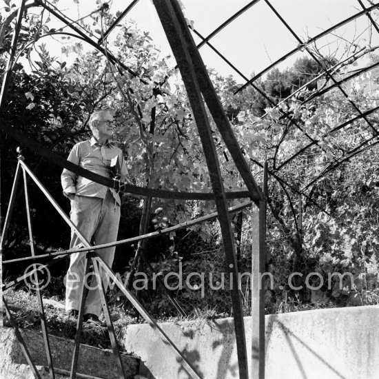 Graham Sutherland in the gardens of La Villa Blanche, route de Castellar. Menton 1974 - Photo by Edward Quinn