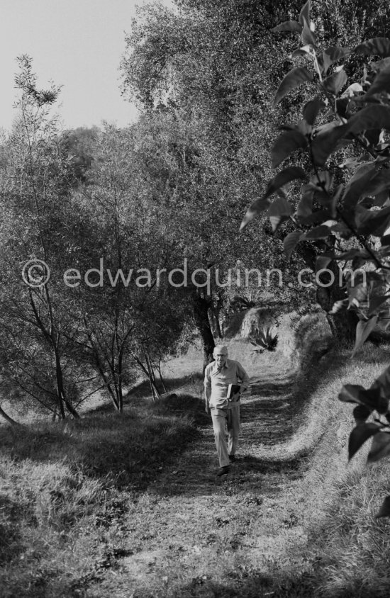 Graham Sutherland in the gardens of La Villa Blanche, route de Castellar. Menton 1974 - Photo by Edward Quinn