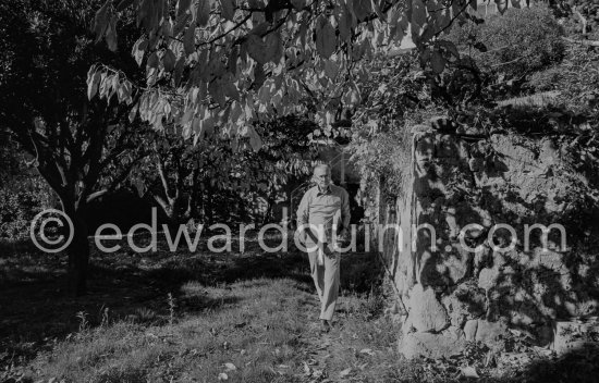 Graham Sutherland in the gardens of La Villa Blanche, route de Castellar. Menton 1974 - Photo by Edward Quinn