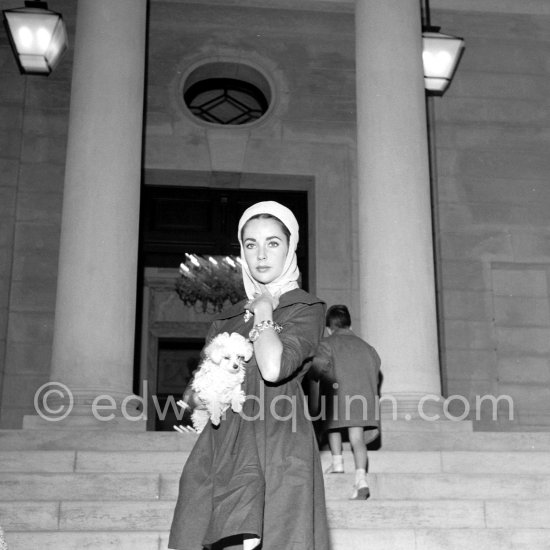 Elizabeth Taylor, the actress known for her unforgettable roles in "Who’s Afraid of Virginia Woolf" and "Cleopatra" and her marriages to Mike Todd, Eddie Fisher, and Richard Burton (among others), stands with one of her two Miniature Poodles in front of Villa Fiorentina. Saint-Jean-Cap-Ferrat 1957. - Photo by Edward Quinn