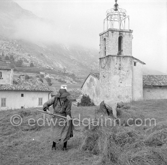 Couple working in field. In the backcountry of the Riviera, Tourrettes-sur-Loup (? ), about 1954. - Photo by Edward Quinn