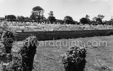 Glasnevin Cemetery. Dublin 1963. - Photo by Edward Quinn