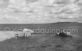 The Forty Foot gentlemen's swimming place from the Joyce Martello Tower. Dublin 1963. Published in Quinn, Edward. James Joyces Dublin. Secker & Warburg, London 1974. - Photo by Edward Quinn