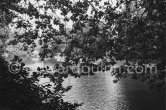 The lake in St Stephen's Green. Dublin 1963. - Photo by Edward Quinn