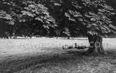 Phoenix Park. Dublin 1963. - Photo by Edward Quinn