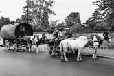 Travellers near Stillorgan.  Dublin 1963. - Photo by Edward Quinn